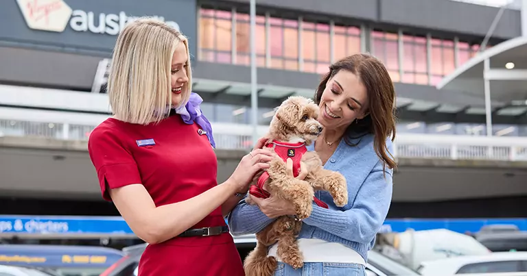 Virgin Australia pets in cabin service